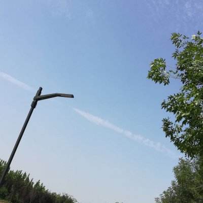 北京市北海公园阐福寺景区6月4日暂停开放